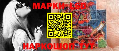 PSILOCYBIN Новокубанск