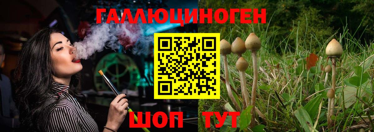 Галлюциногенные грибы Psilocybe  Псилоцибиновые грибы мухоморы  Вход с VPN  Троицк 